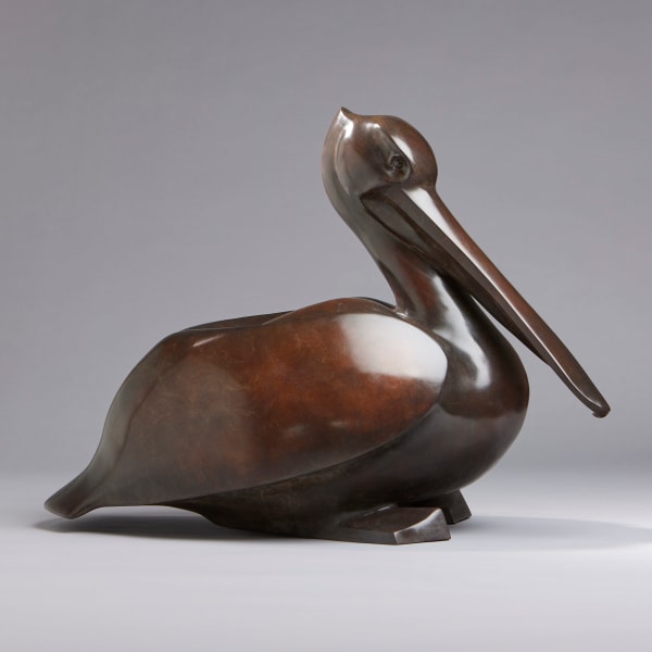 Peter Killeen, Pelican