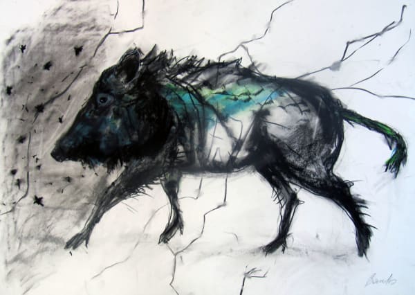 Margo Banks Boar 1 Mixed Media om Paper 70x100cm