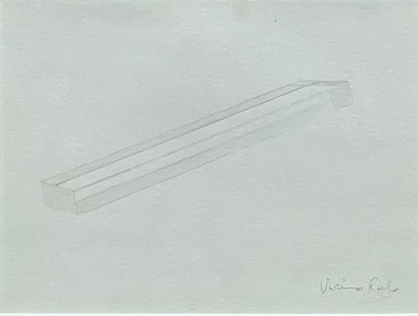 Vivienne Roche RHA, Looking through I