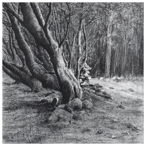 Michael Wann, Outer Edge, 2022