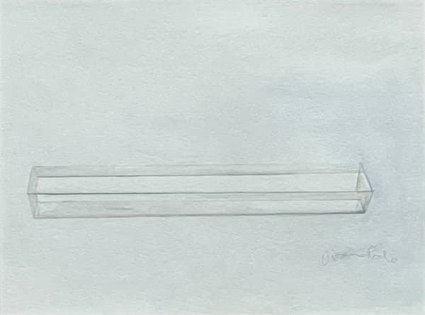 Vivienne Roche RHA, Looking through II