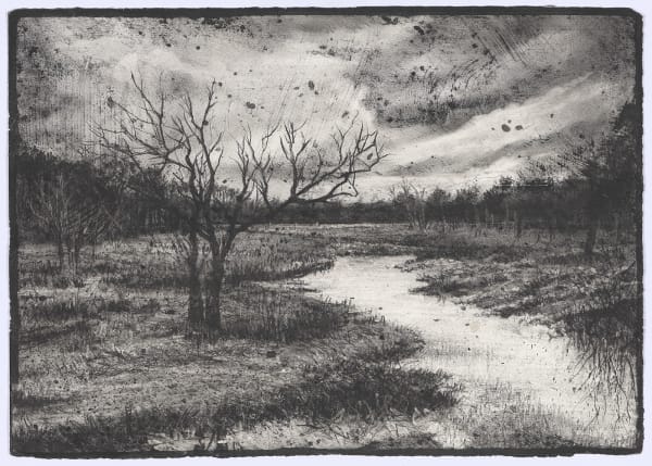 Michael Wann, Wetlands Weather