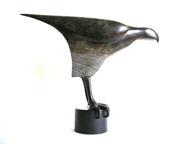 Anna Campbell Hawk bronze 36 x 30 x 20cm
