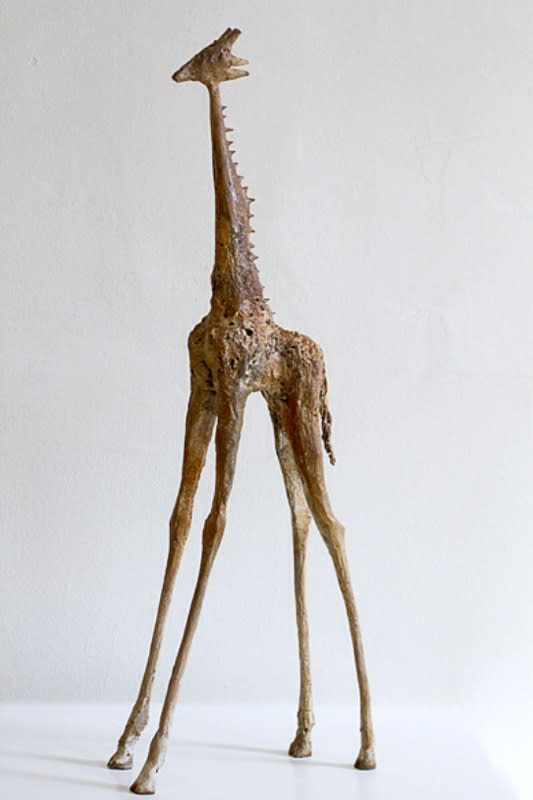 Cheryl Brown, Giraffe