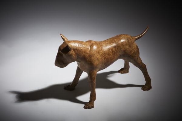 Anthony Scott RUA, Ailbhe