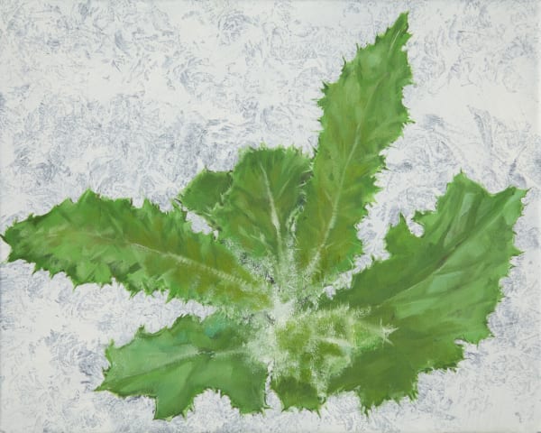 Bennie Reilly Weed, Botanic Gardens, Dublin, 2017 oil on canvas 20x25cm