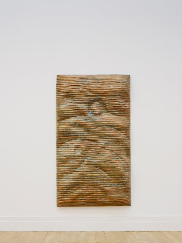 Eilis O'Connell RHA, Earth Pillow, 2009