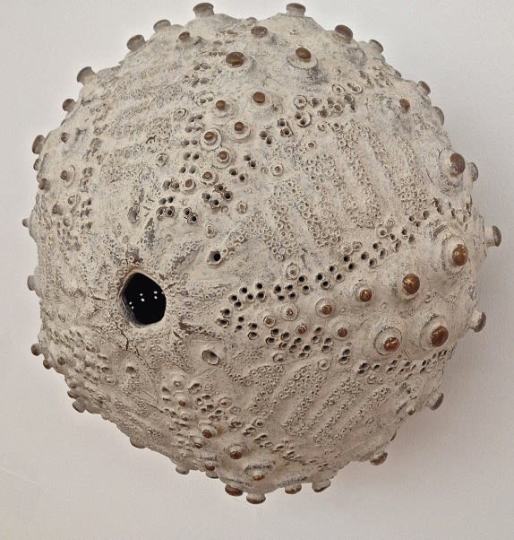 Rachel Joynt RHA, Sea Eye, 2014