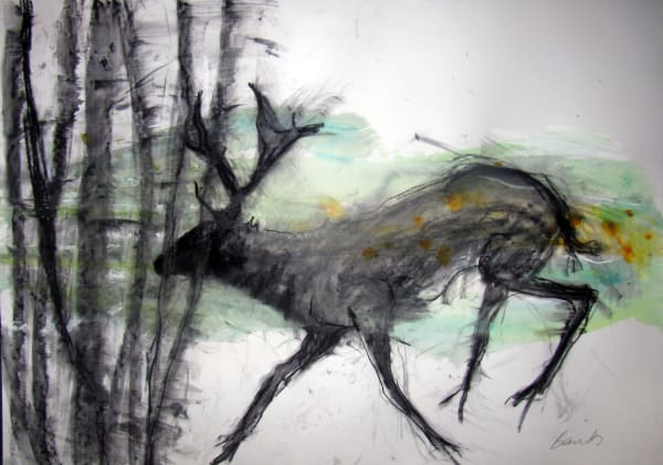 Margo Banks, Deer 5