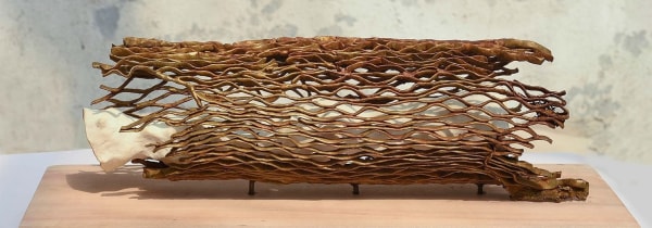 Khageswar Rout, Story Beneath the bark II, 2019