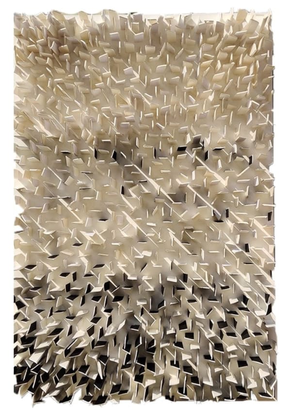 Anushree Rabadia, Tangaliya Weave, 2021