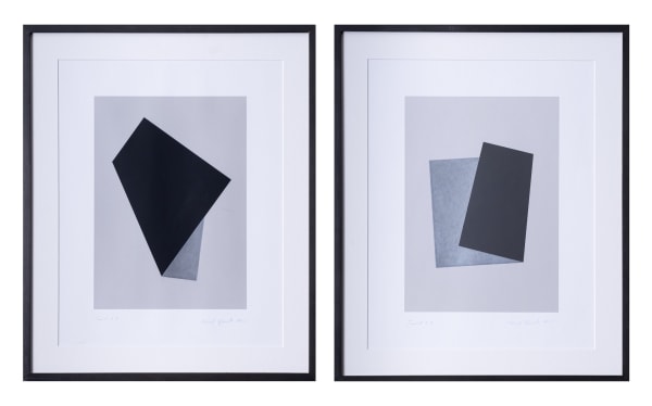 Iran do Espirito Santo Twist 4D, Twist 6D , 2010 lápis sobre fotograma 40 x 31 cm