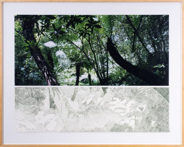 Gabriela Albergaria Parque do Bucaço, 2007 fotografia e lápis de cor verde sobre papel 94,5 x 118,5 cm