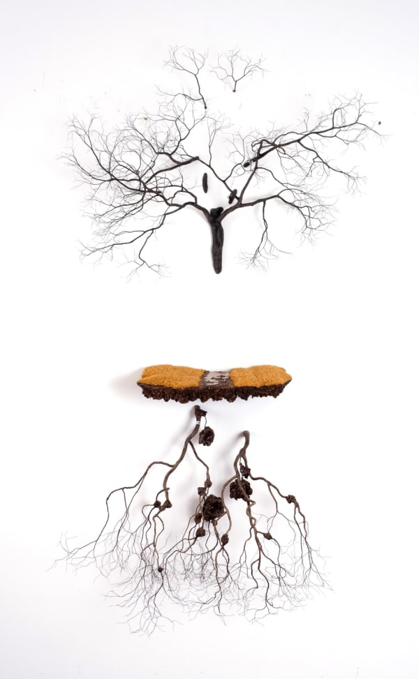 Jorge Mayet, De mi niebla espesa I, 2009