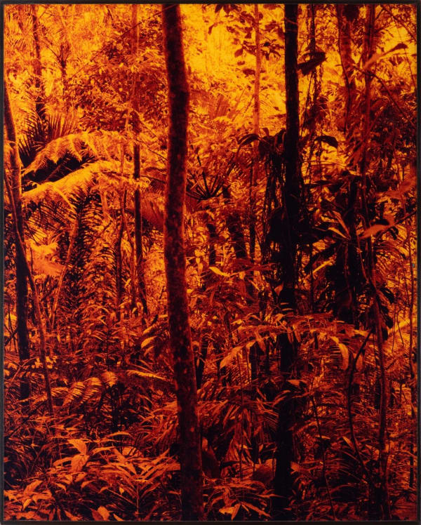 Caio Reisewitz Tapeaba, 2013 c print 54 x 45 cm