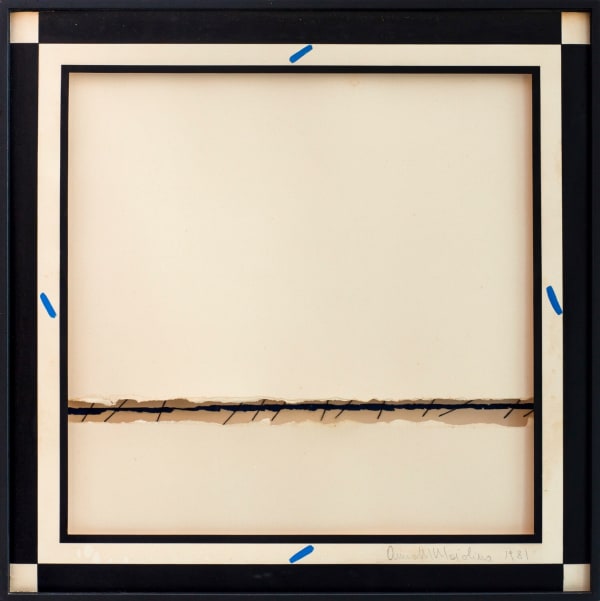 Anna Maria Maiolino, Série desenho objeto, 1981