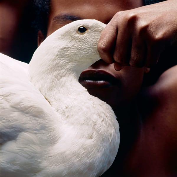 Mario Cravo Neto, Odé, déc. 1990