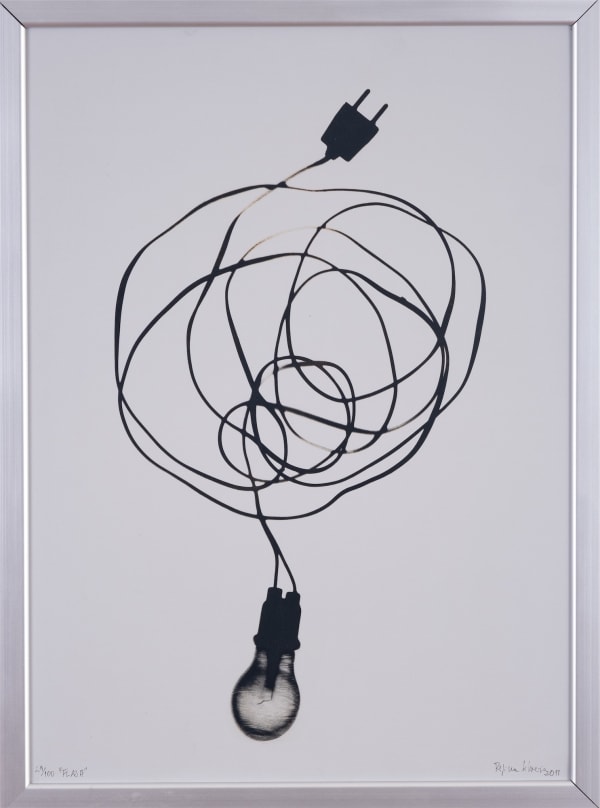 Regina Silveira Flash, 2011 fotograma em chapa de alumínio 61 x 43,5 cm