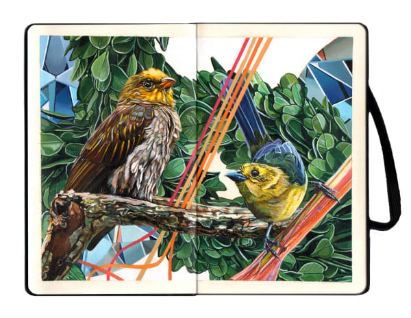 Painting of two birds sitting on a branch