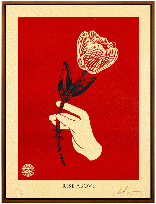image of a hand holding a flower in white with a red background