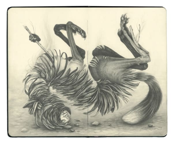 Drawing of a four legged creature on its back with a stake in its chest