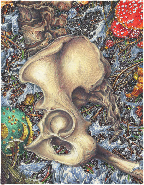 A.J. Masthay, Site 1365 - The Jewelry Box, 2019