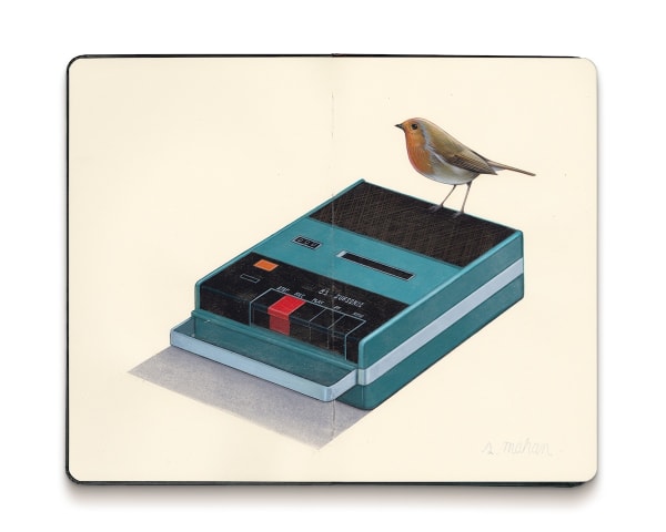 Painting of a small bird resting on a blue recorder on a white background.