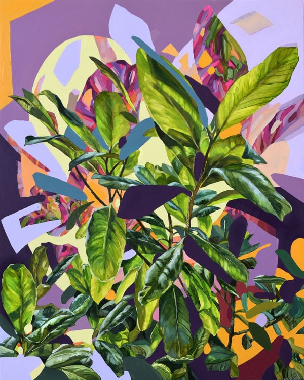 green plant over purple and orang background