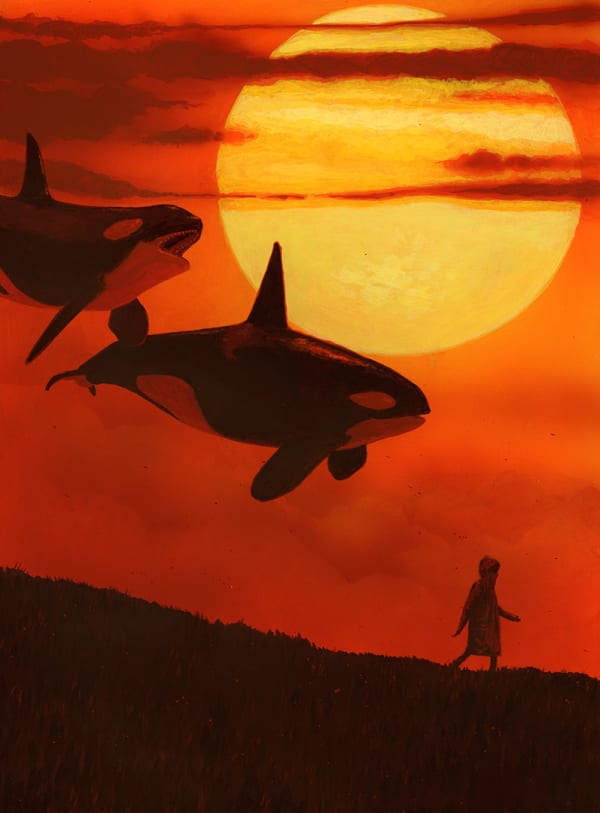 two flying whales following behind a child in a raincoat at sunset