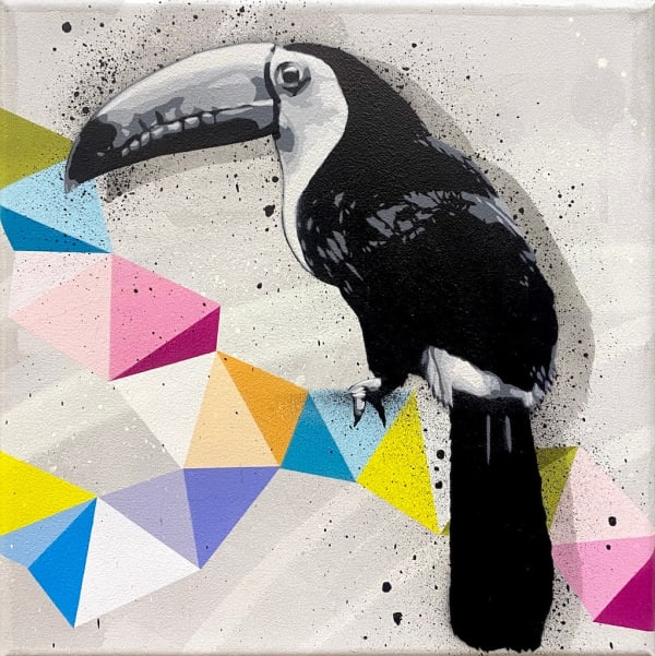black and white toucan perched on pastel triangles