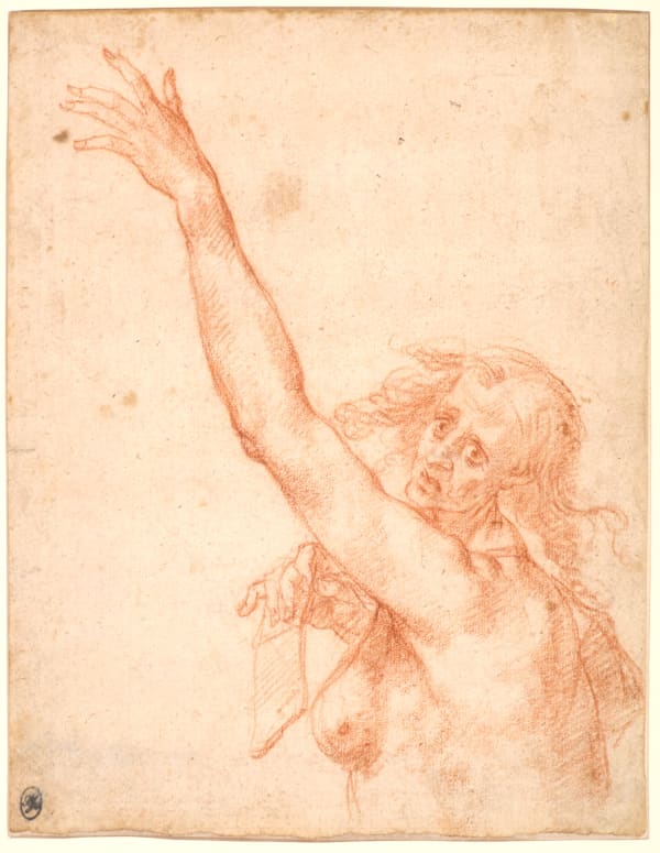 Giovanni Mannozzi, called Giovanni da San Giovanni - (Attributed to) Study of a Fate at mid-body / (Attribué à) Etude de Parque à mi-corps , ca. 1635