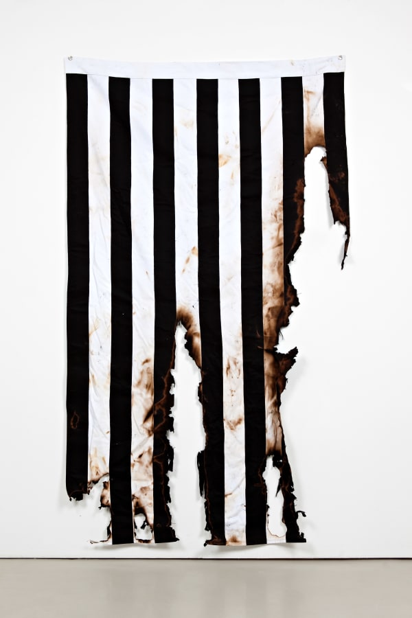Gardar Eide Einarsson, Burned Flag (Sons of Liberty), 2011
