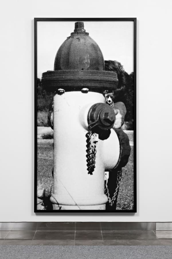 Gardar Eide Einarsson, Untitled (Fire Hydrant), 2010