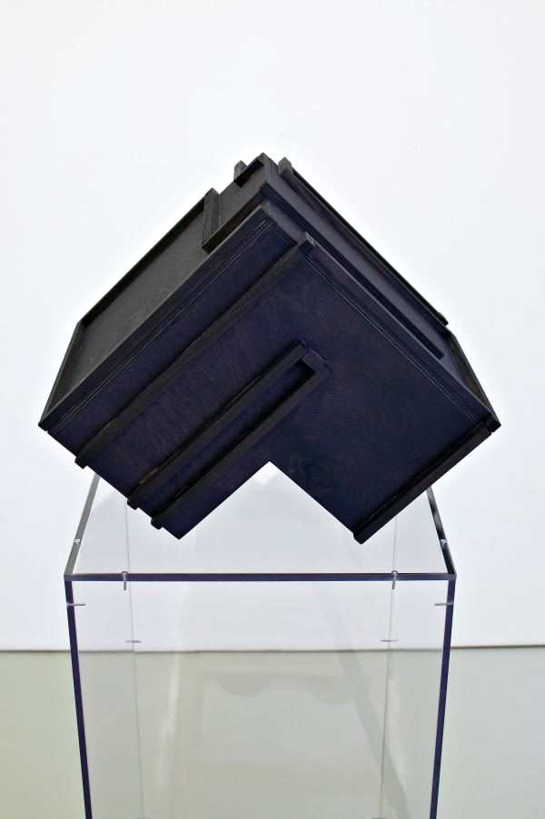 Michaela Meise, Tinted Brain #5, 2007