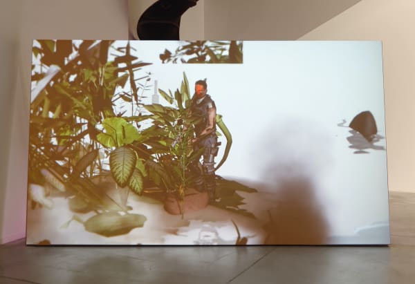 Ian Cheng, Thousand Islands Thousand Laws, 2013