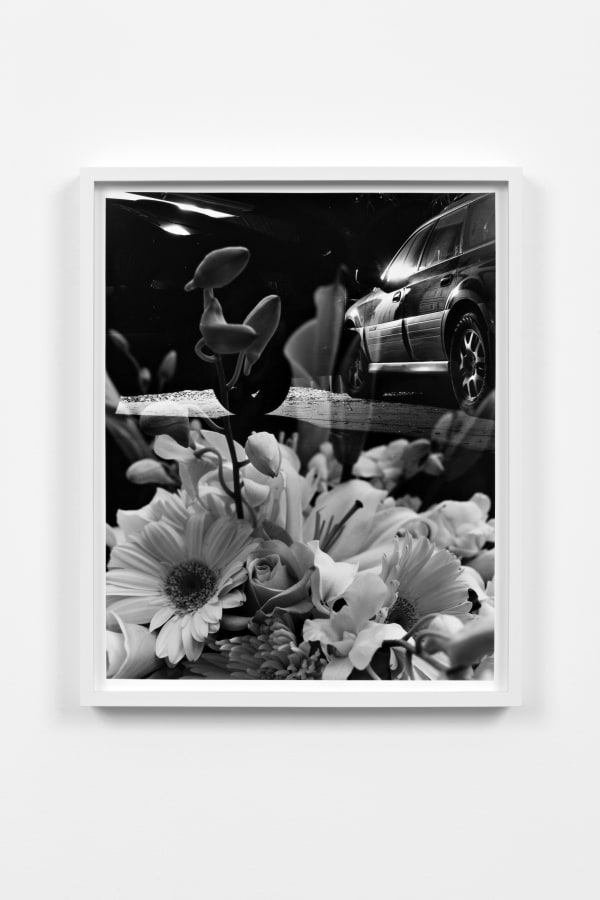 Torbjørn Rødland, Cars and Flowers, 2011