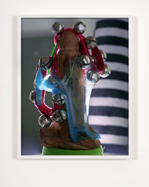 Torbjørn Rødland, The Pet Bells Picture, 2019