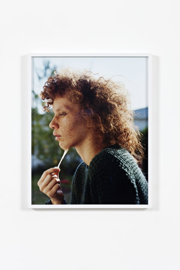 Torbjørn Rødland, Peel no. 3, 2013-2014