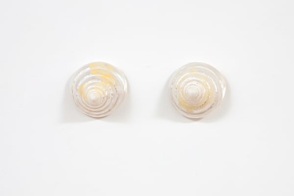Untitled (ABMB Sea Shells)