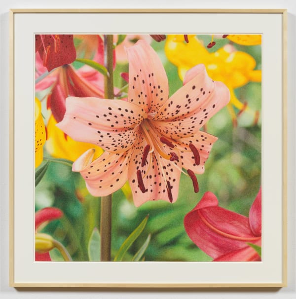 Mathew Cerletty, Pink Tiger, 2018