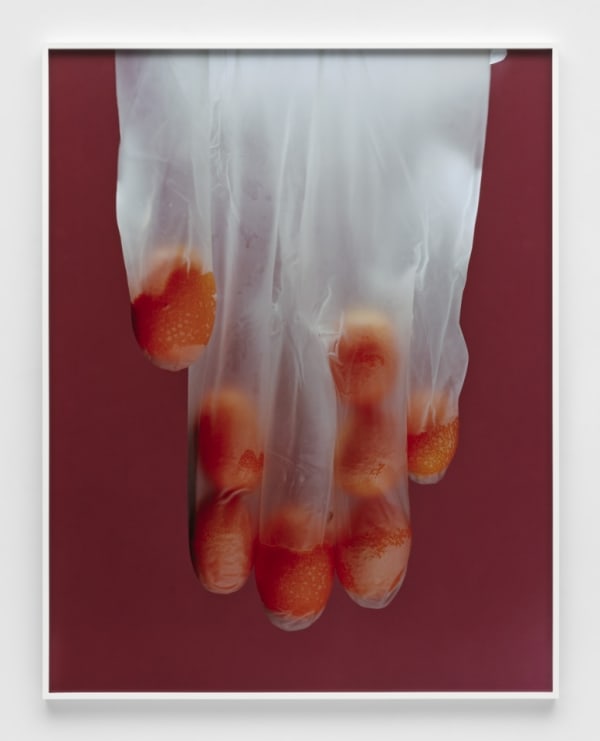 Torbjørn Rødland, Citrus Glove no. 2, 2021