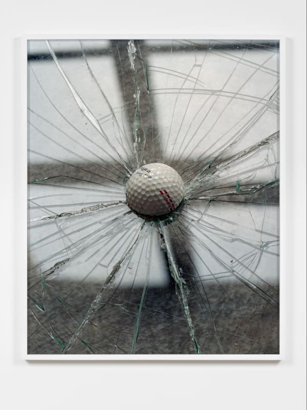 Torbjørn Rødland, Damage and Desire, 2024