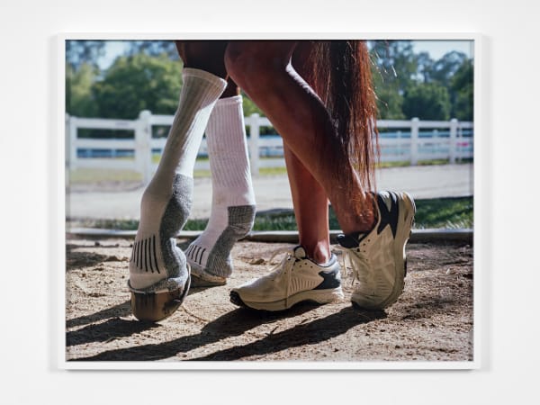 Torbjørn Rødland, Socks, Shoes and Tail, 2020