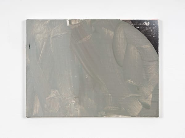 Mari Slaattelid, Fake Dome (grey), 2016