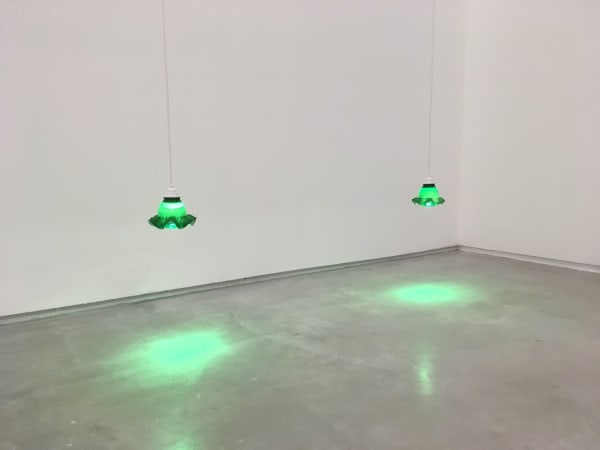 Ann Cathrin November Høibo, Løpere, 2019