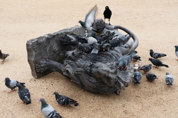 Nina Beier, Guardians, 2022