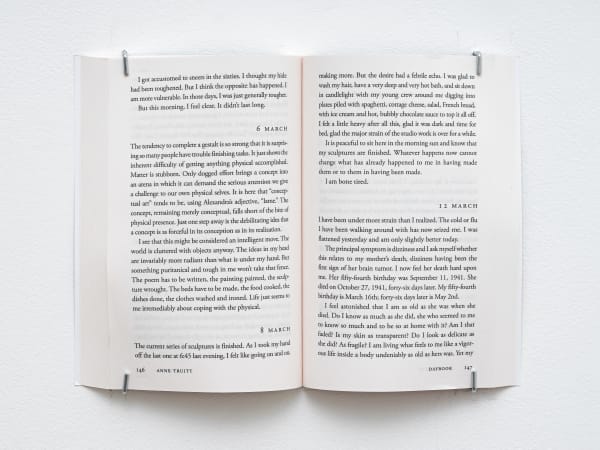 Daybook: The Journal of an Artist