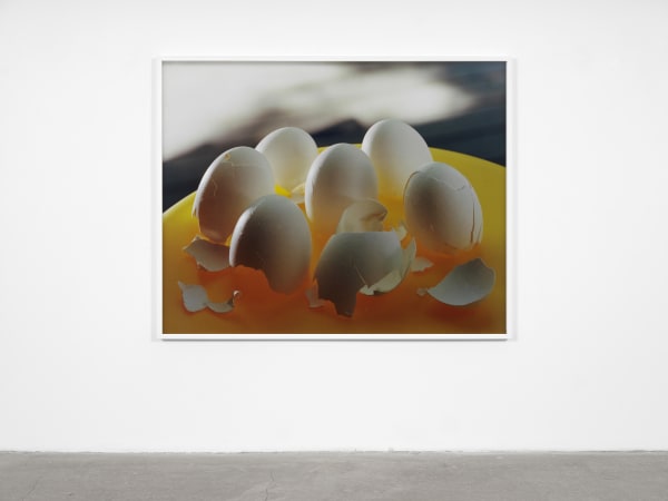 Torbjørn Rødland, Stolen Shells, 2022