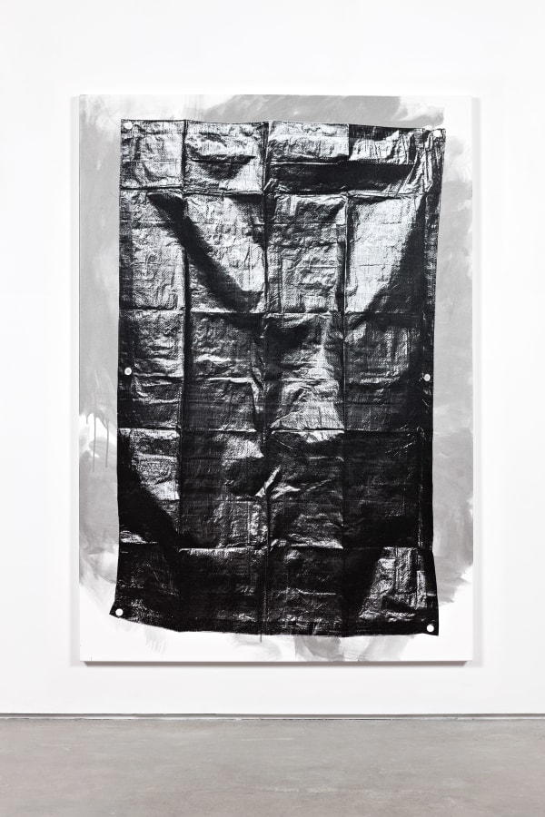 Tarp (Stainless Steel 5)