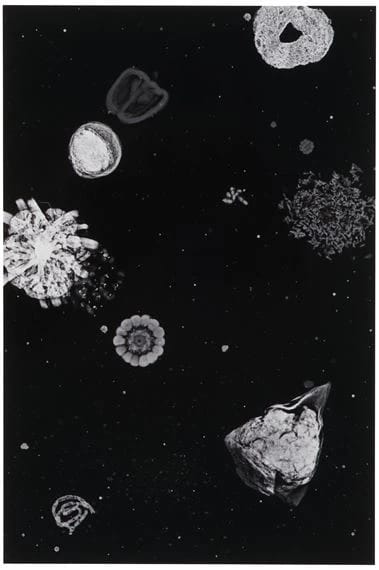 Jitish Kallat, Forensic Trail of the grand Banquet, 2013